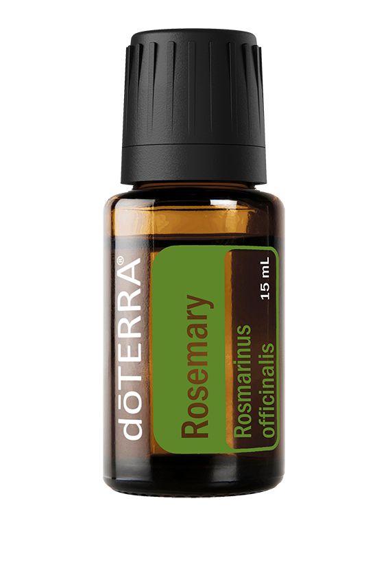 15ml-rosemary-30200001-566x819-us