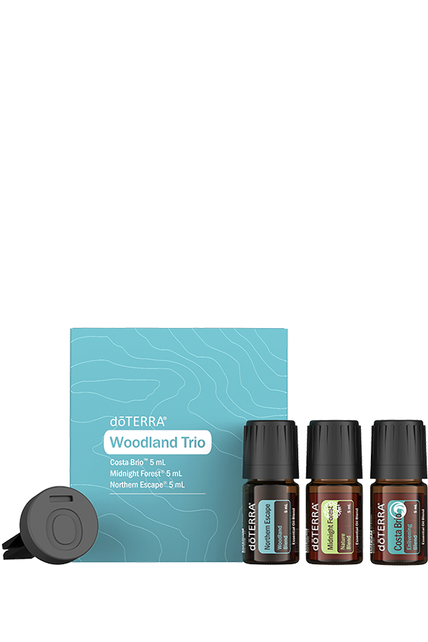 fathers-day-bundle-2025-60229943-600x900-us